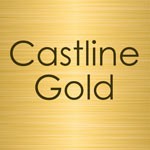 Castline Gold,Guitar cables. TS cables