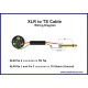 Castline Gold XLR male/female to 1/4