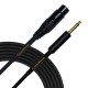 Castline Gold XLR male/female to 1/4